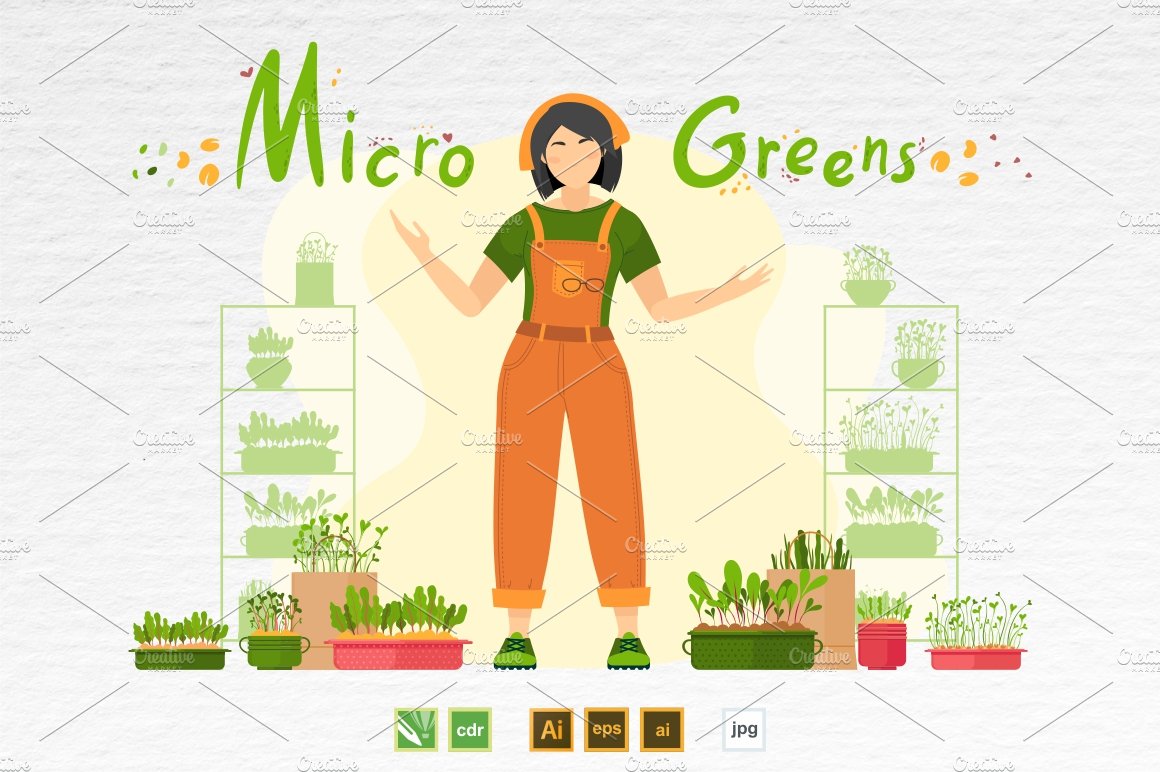 Microgreen illustration set 5 cover image.