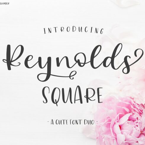 Reynolds Square Calligraphy Font Duo cover image.