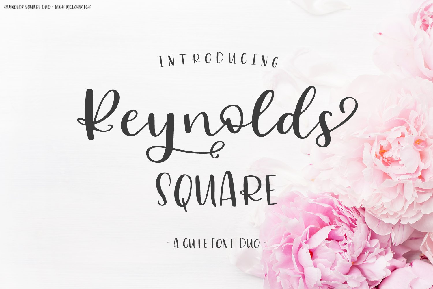 Reynolds Square Calligraphy Font Duo cover image.