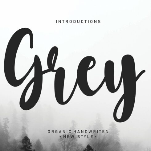 Grey | Script font cover image.