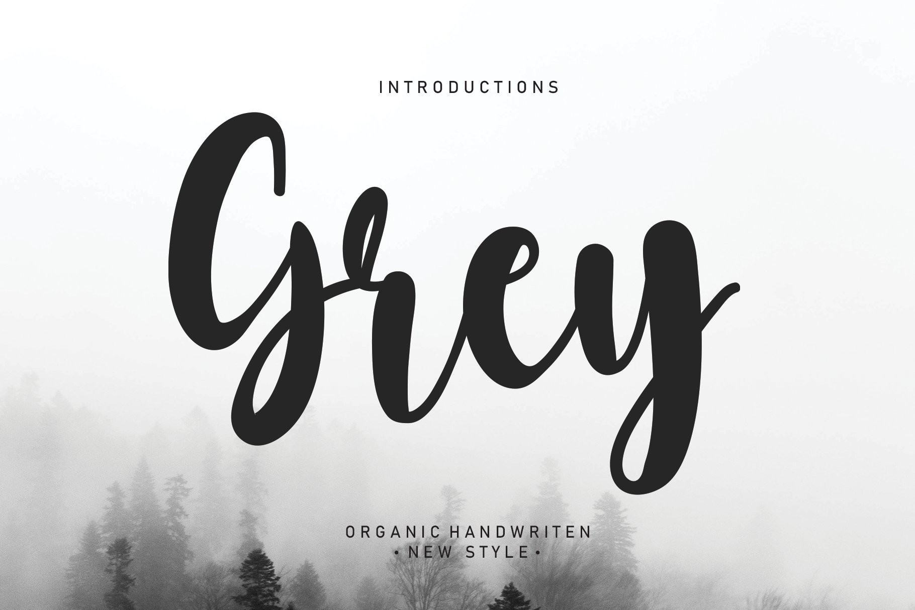 Grey | Script font cover image.