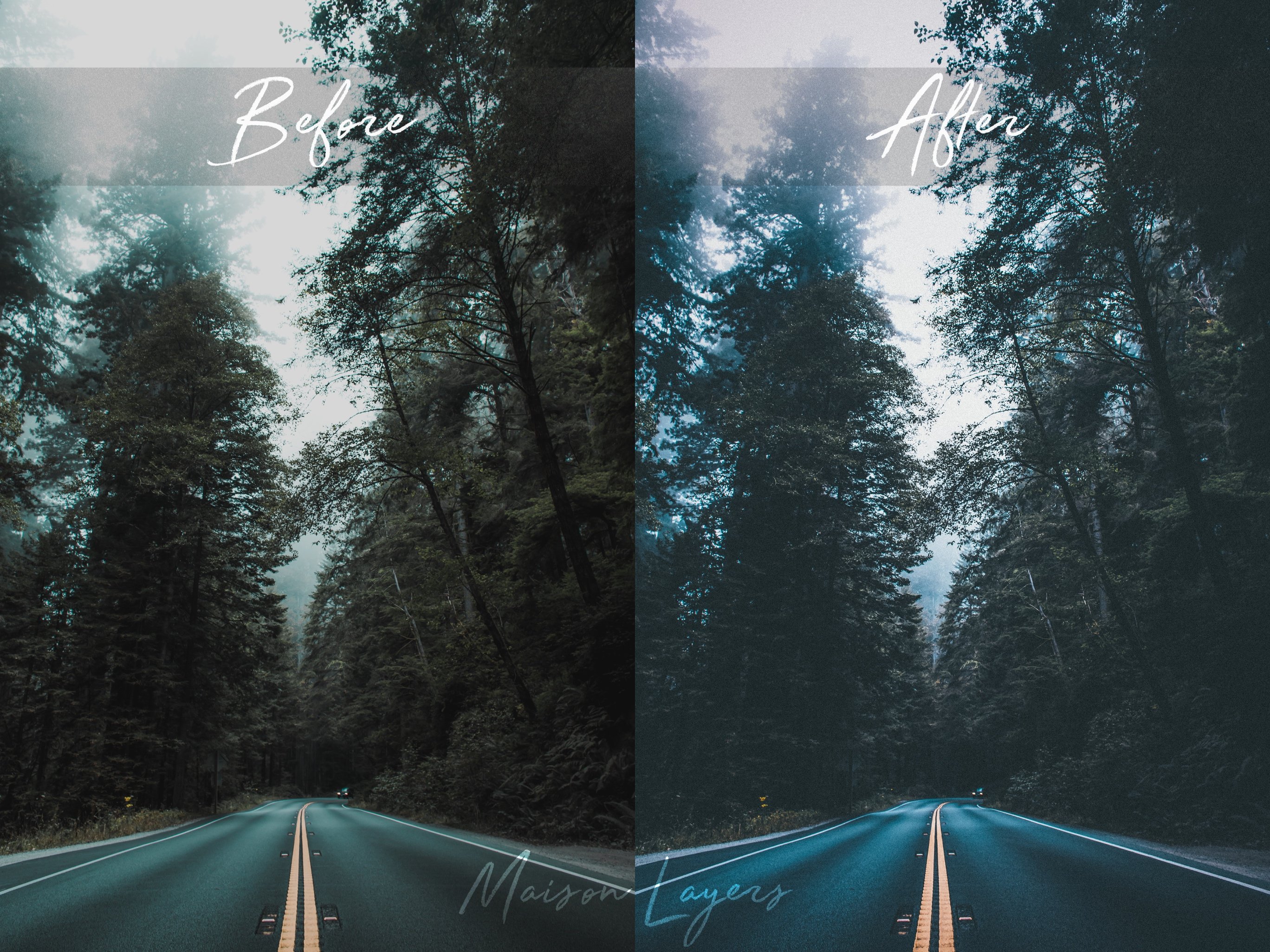 Lightroom Presets Moody Forestpreview image.