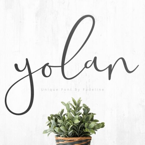 SALE! Yolan Unique Font cover image.