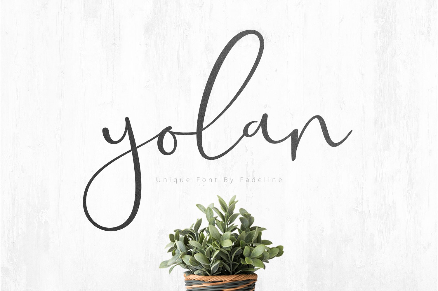 SALE! Yolan Unique Font cover image.