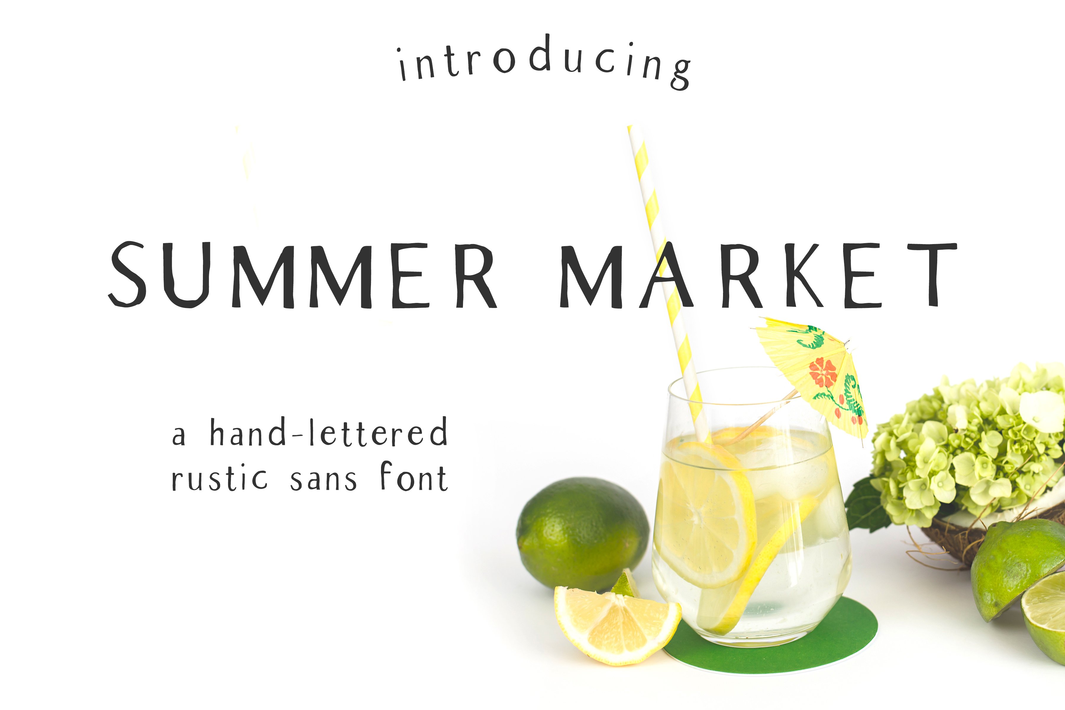 Summer Market - Rustic Font cover image.