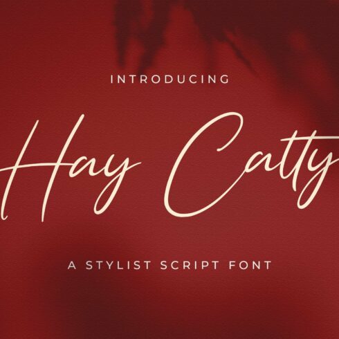 Hay Catty - Handwritten Font cover image.