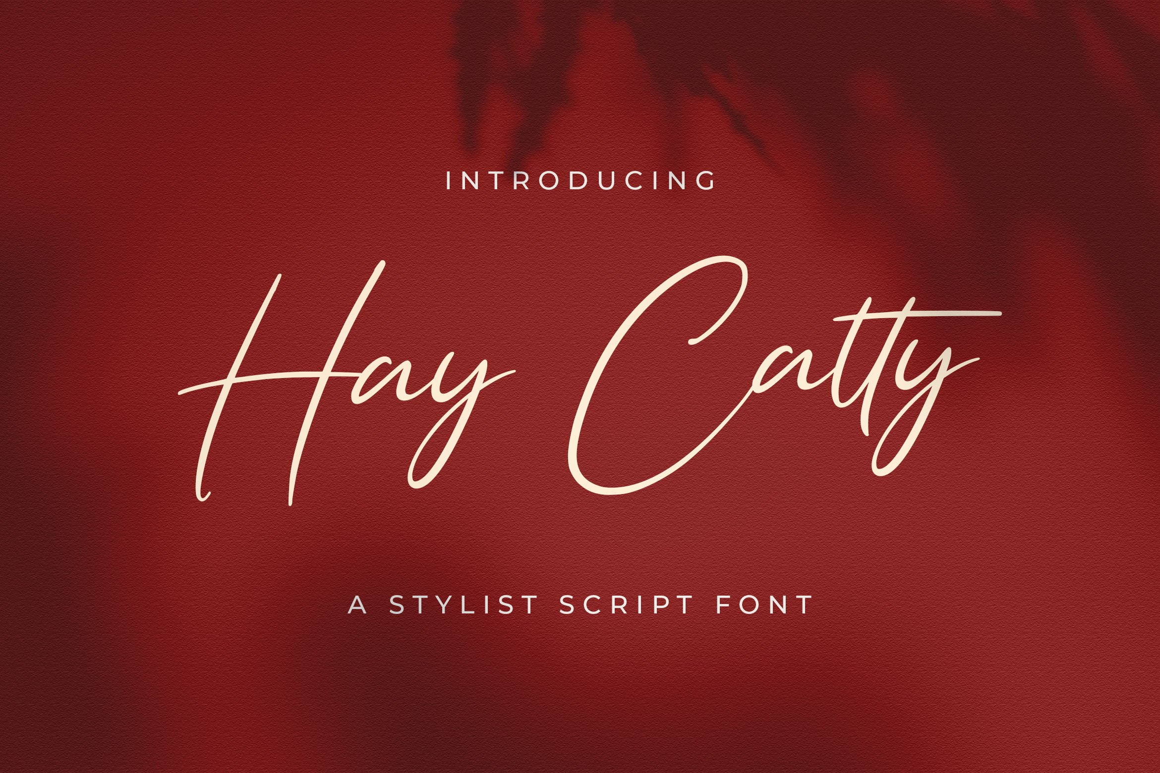 Hay Catty - Handwritten Font cover image.