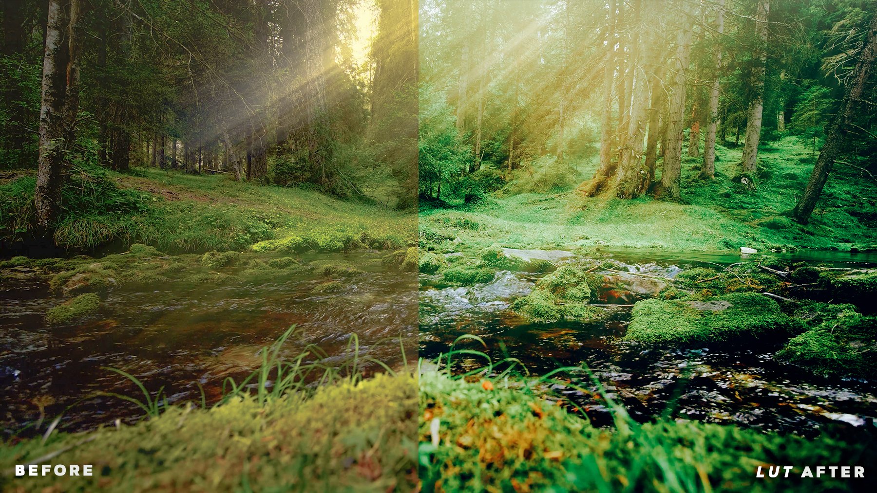 Forest LUTs for Color Gradingpreview image.