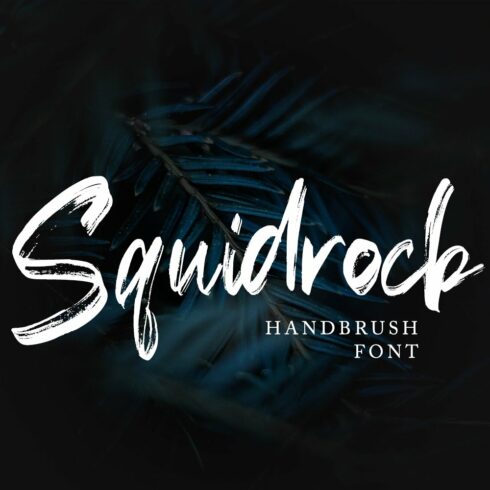 Squidrock - Handbrush Typeface cover image.