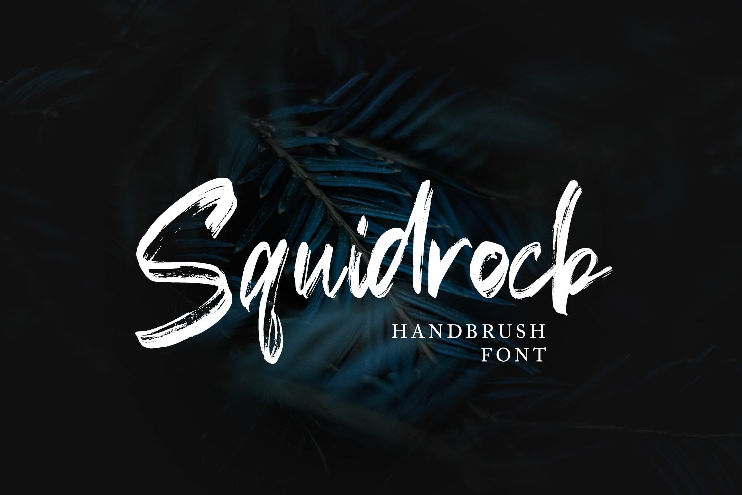 Squidrock - Handbrush Typeface cover image.