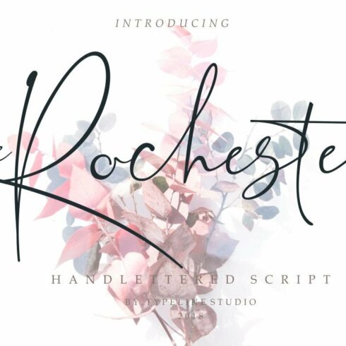 the Rochester // Beatiful Signature cover image.
