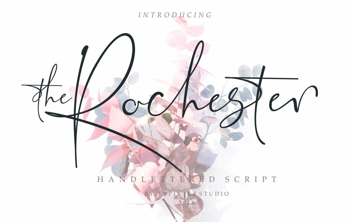 the Rochester // Beatiful Signature cover image.