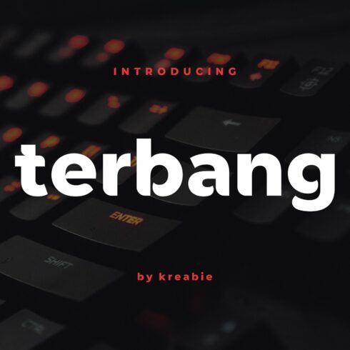 terbang font cover image.