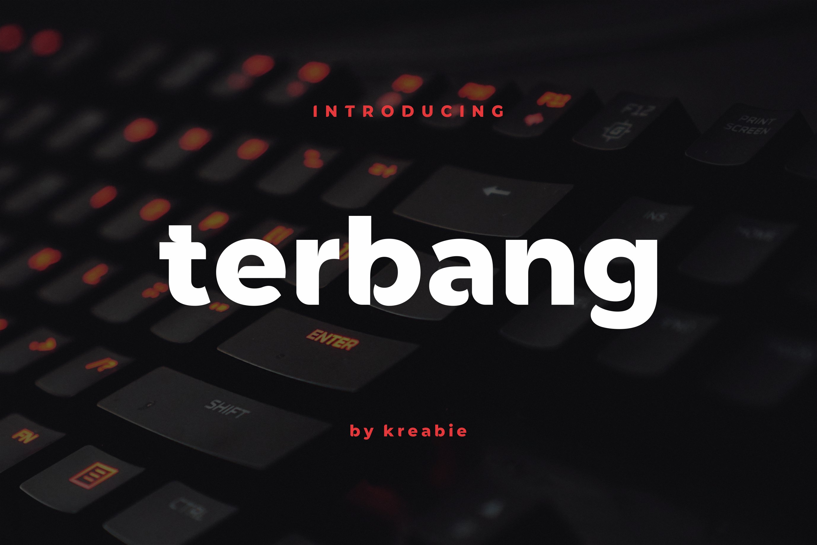 terbang font cover image.