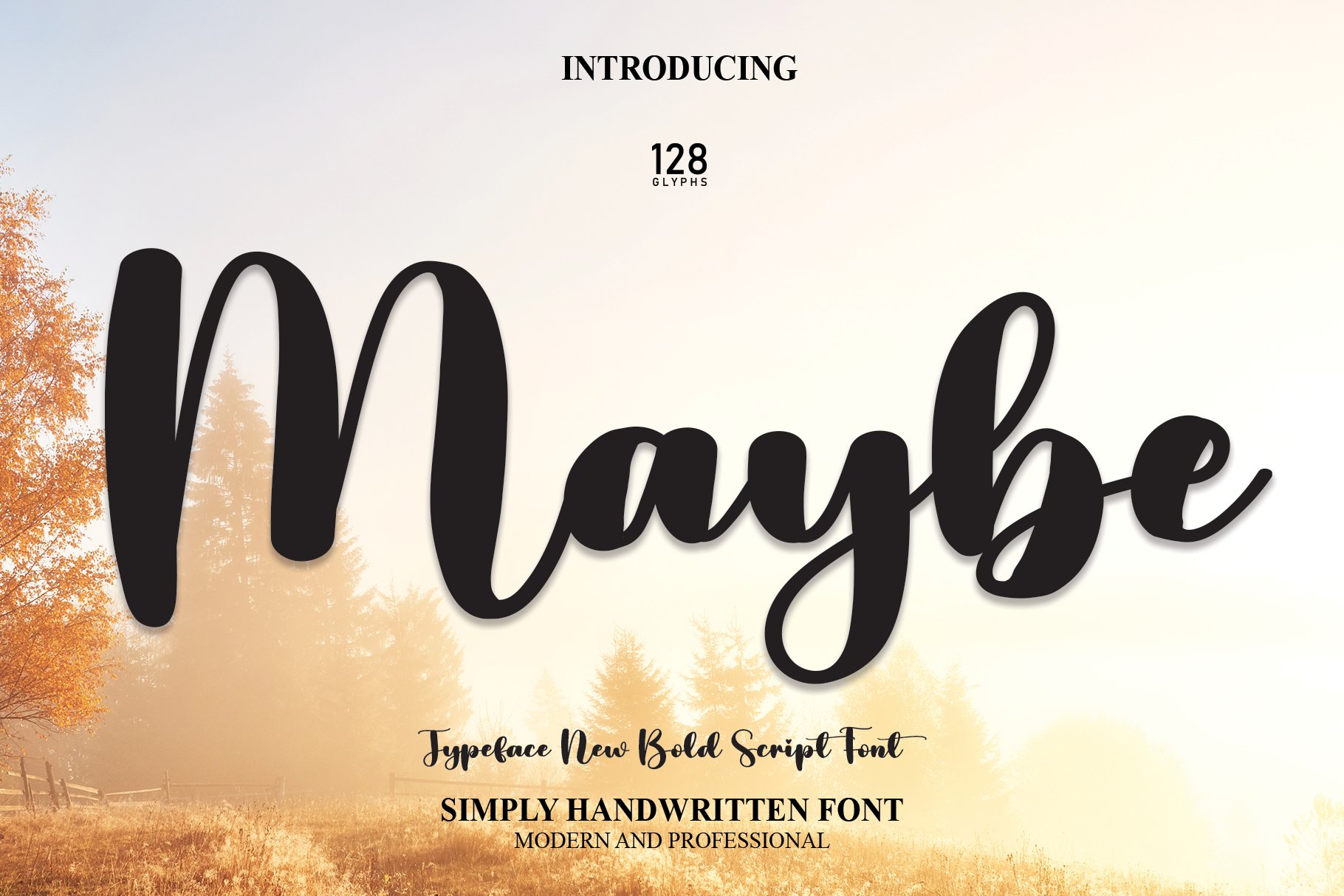 Maybe | Script Font cover image.