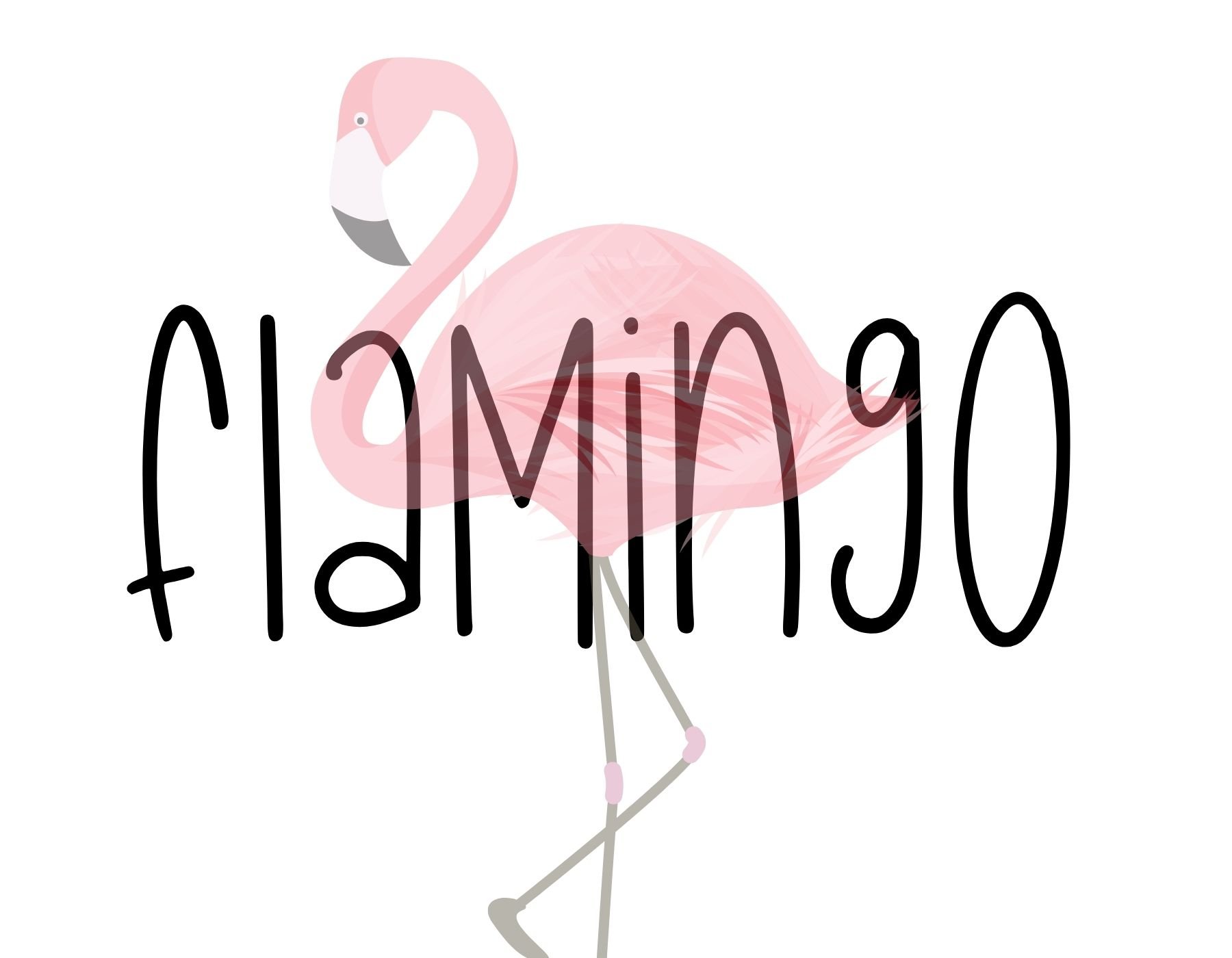 Flamingo Tall Handwritten Font cover image.