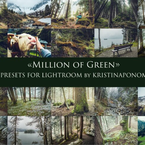 MILLION OF GREEN-Set of 20presets Lrcover image.