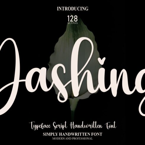 Dashing | Script Font cover image.