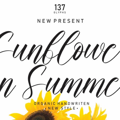 Sunflower In Summer Font cover image.