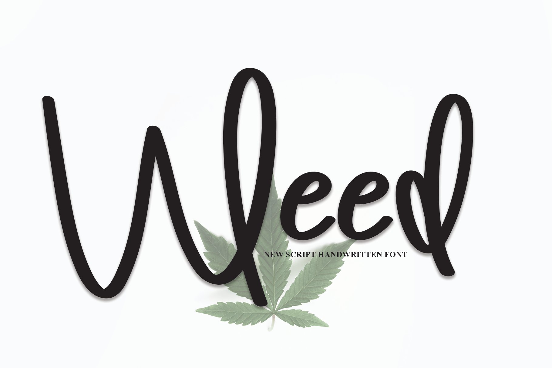Weed | Script Font cover image.