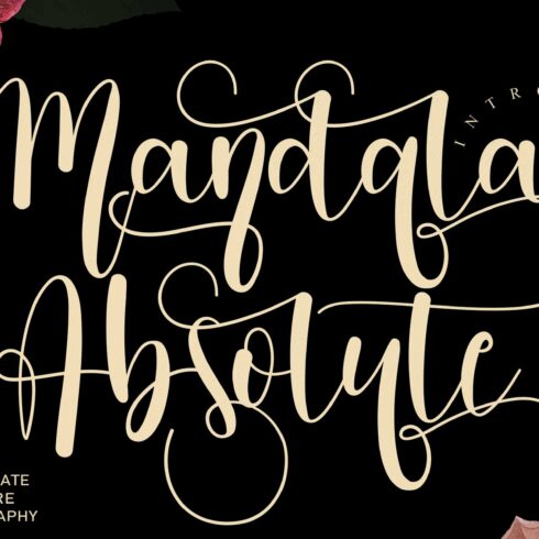 Mandala Absolute | handwritten font cover image.