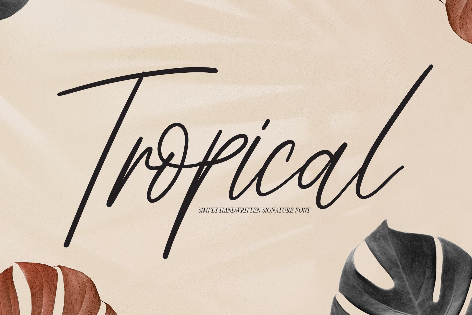 Tropical | Script Font cover image.