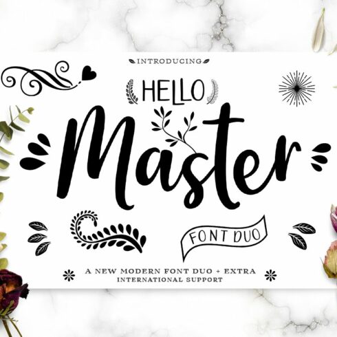 Hello Master Font DUO with Doodle cover image.