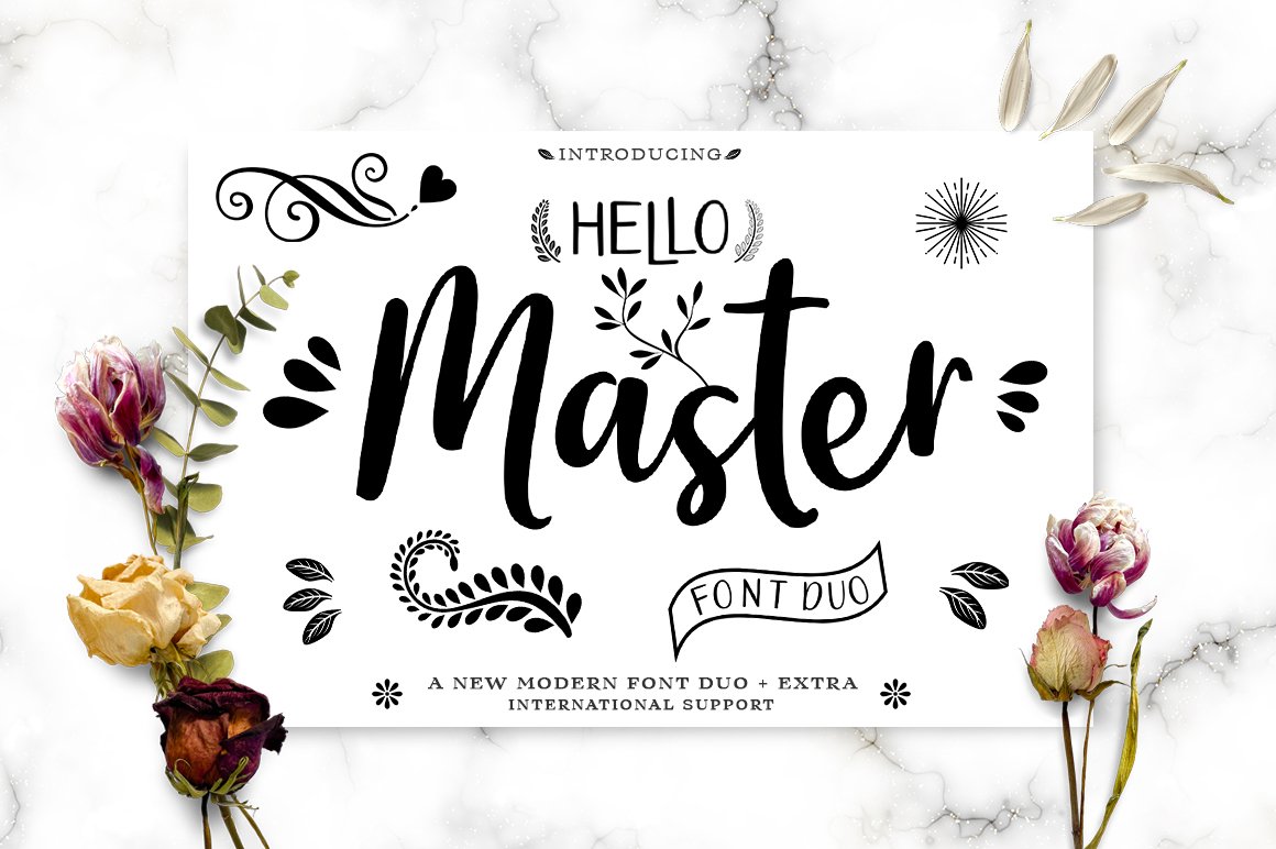 Hello Master Font DUO with Doodle cover image.