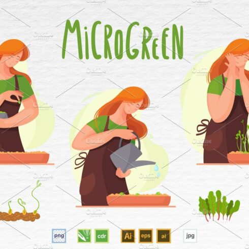 Microgreen illustration set 4 cover image.