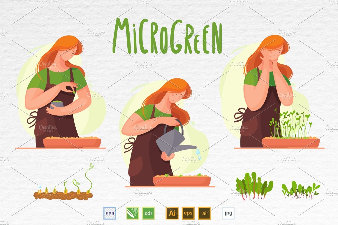 Microgreen illustration set 4 cover image.
