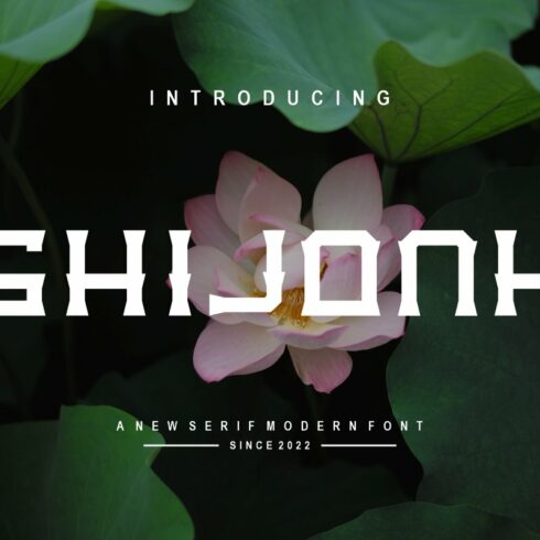 Ghijonh cover image.