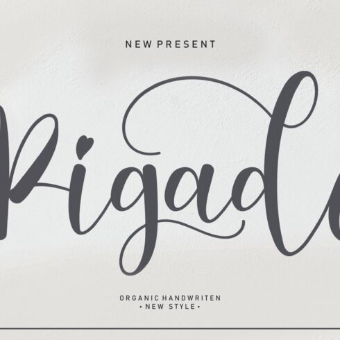 Pigade | handwritten font cover image.