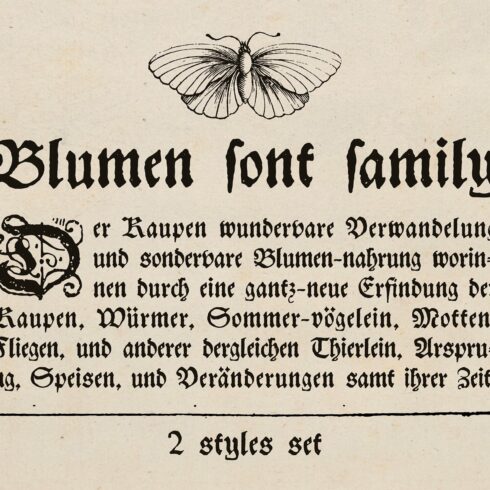 Blumen blackletter font family cover image.