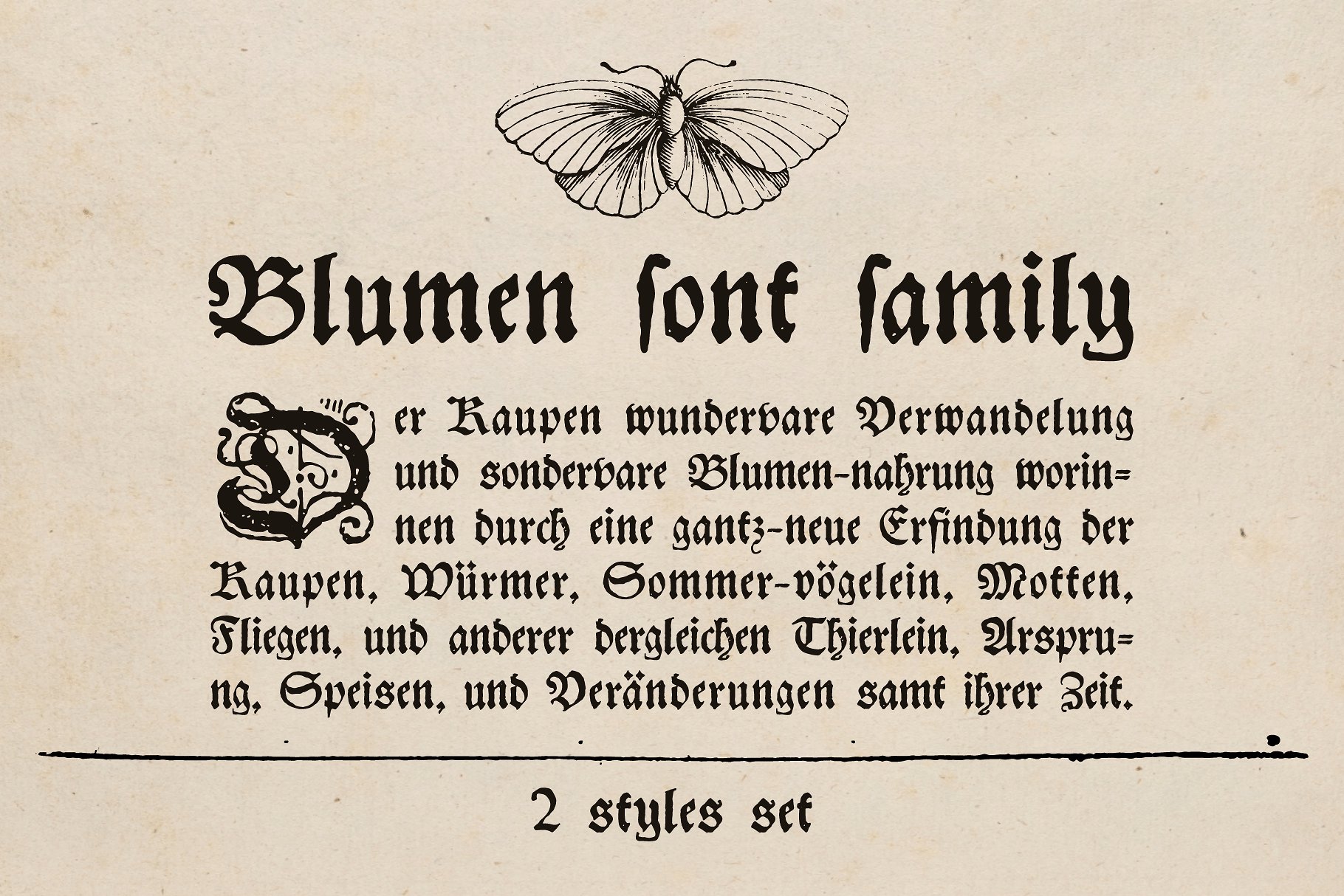 Blumen blackletter font family cover image.