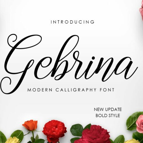 Gebrina Script cover image.