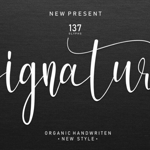 Signature | Handwriten Font cover image.