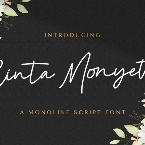 Cinta Monyett - Handwritten Font cover image.