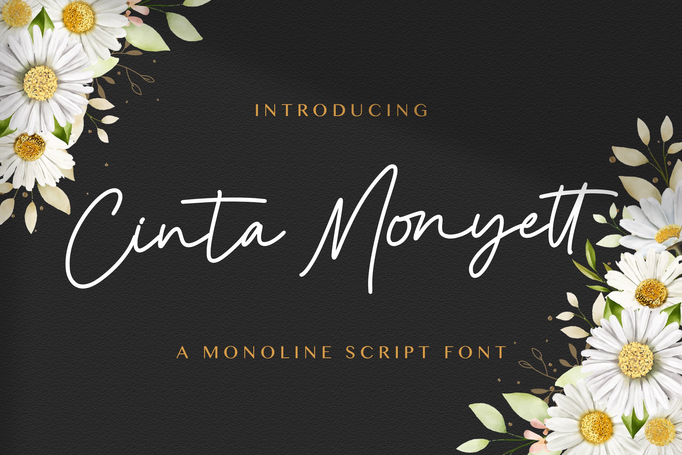 Cinta Monyett - Handwritten Font cover image.