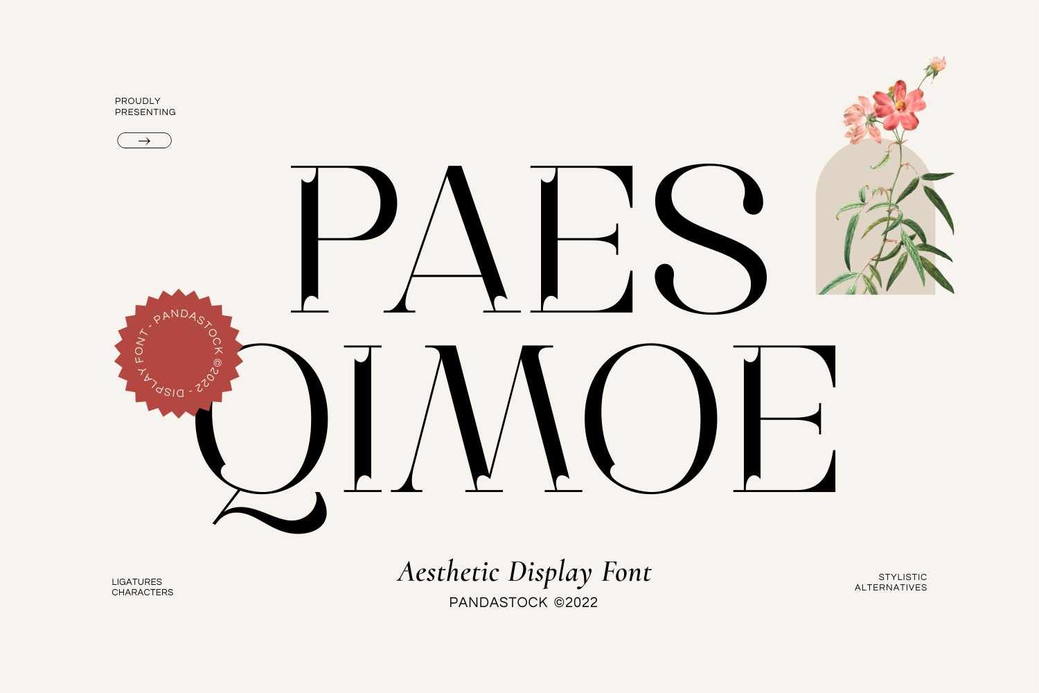 Paes Qimoe - Aesthetic Display Font cover image.