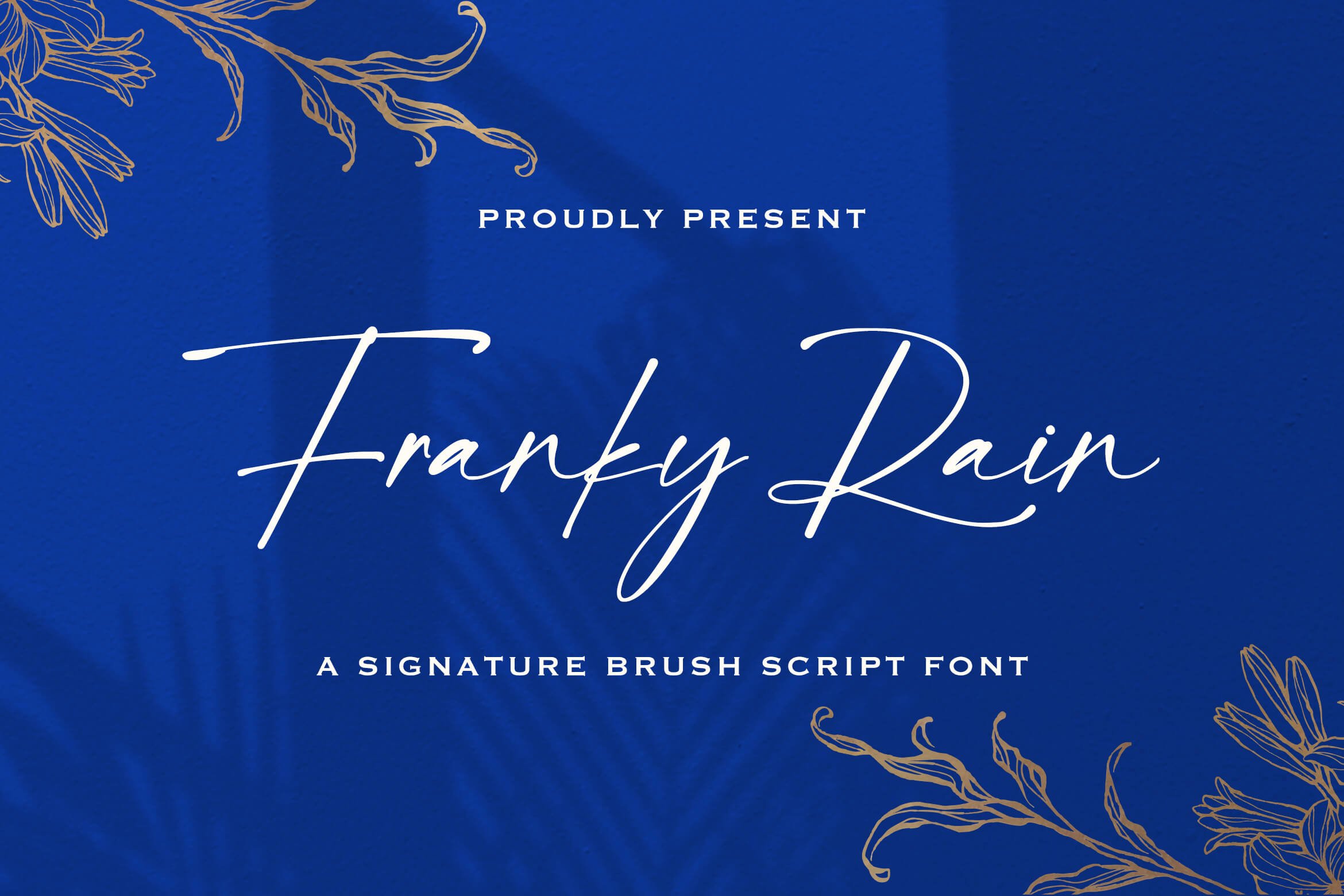 Franky Rain - Signature Script Font cover image.