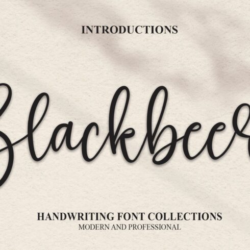 Blackbeer | Script Font cover image.