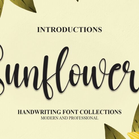 Sunflower | Script Font cover image.