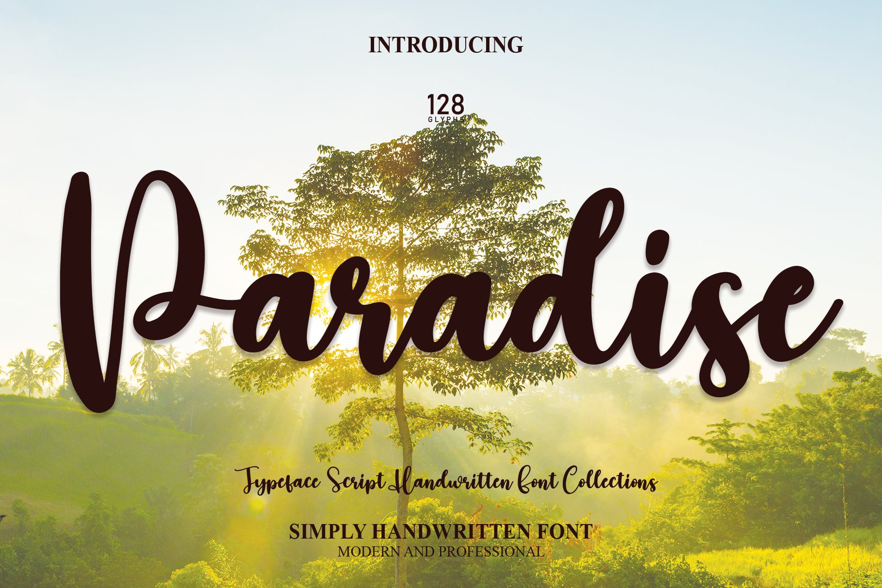 Paradise | Script Font cover image.