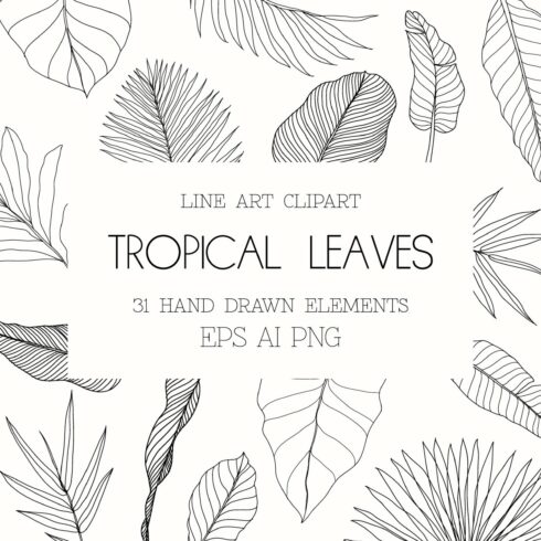 Line Art Tropical Leaves Clipart. cover image.
