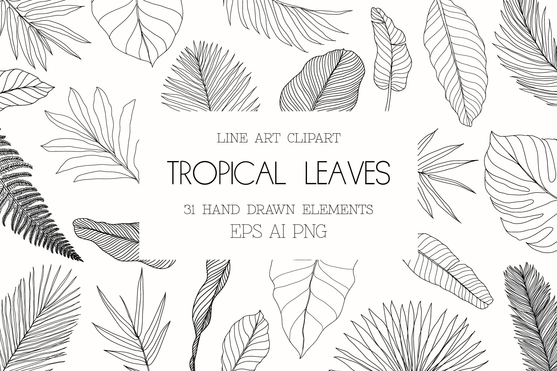 Line Art Tropical Leaves Clipart. cover image.