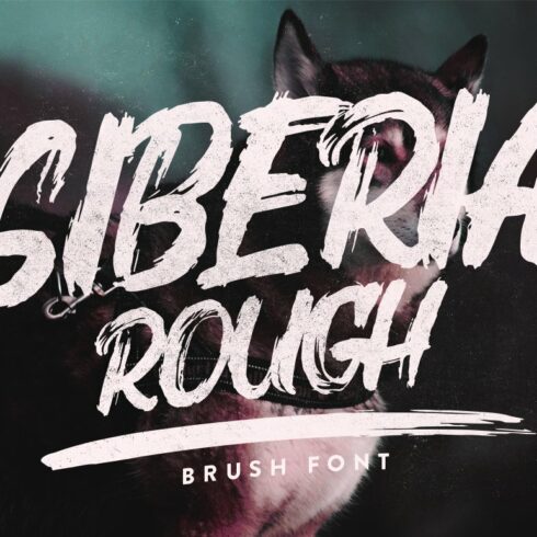 Siberia Rough cover image.