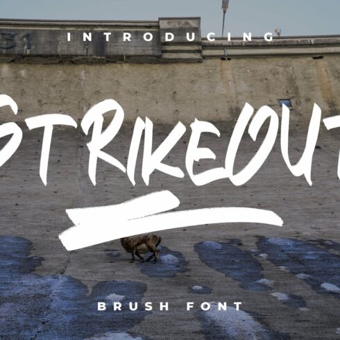 STRIKEOUT || Brush Font cover image.