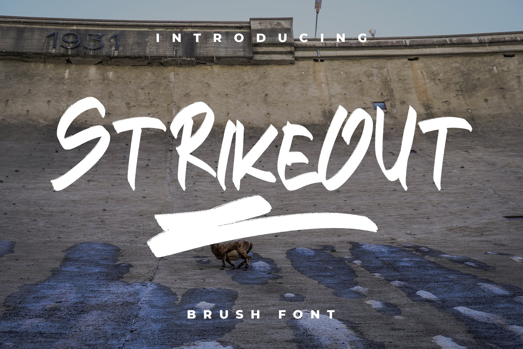 STRIKEOUT || Brush Font cover image.