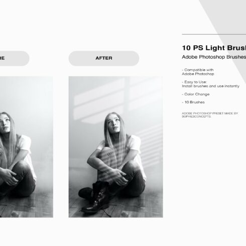 10 PS Light Brushescover image.