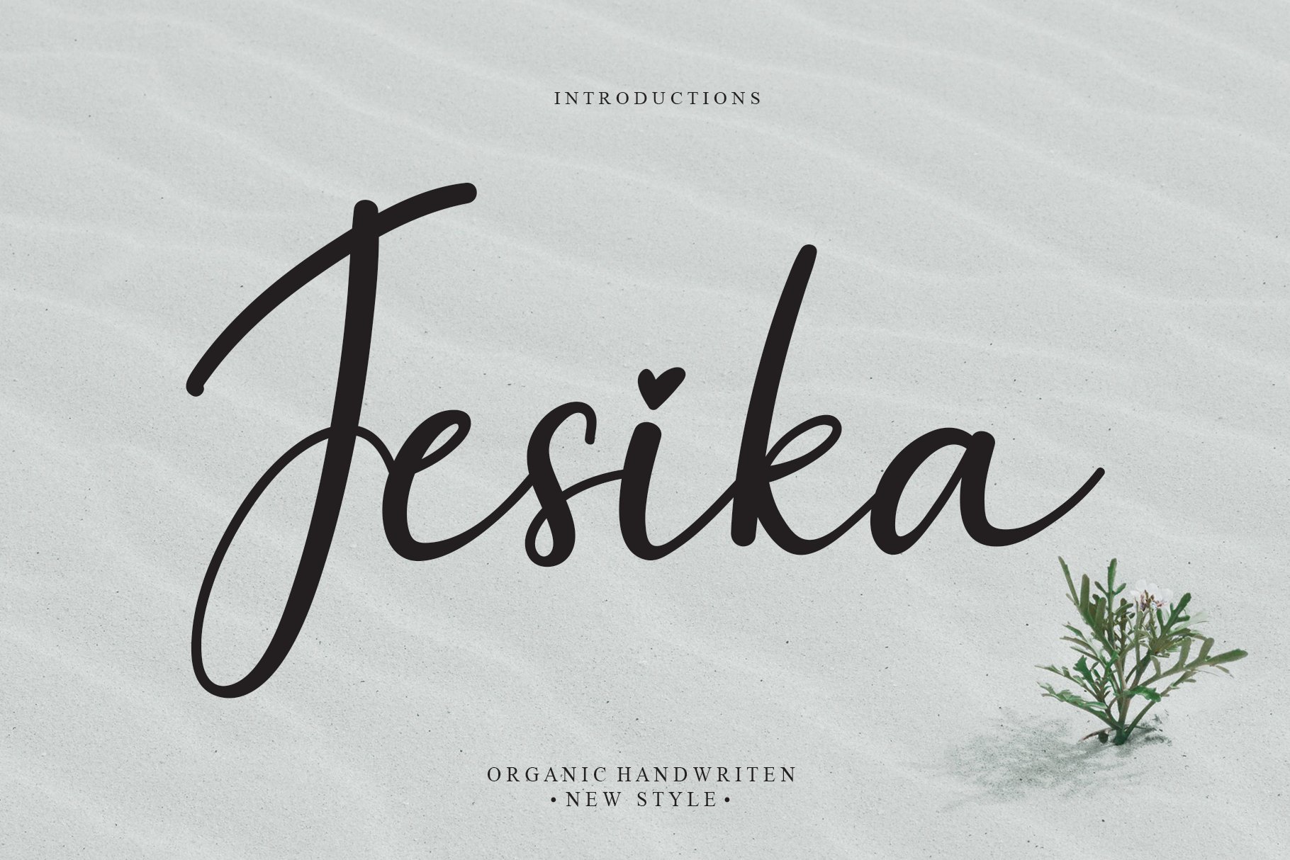 Jesika | Script font cover image.